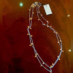 NWT | Jules Smith | Rose-Gold Long Chain Necklace